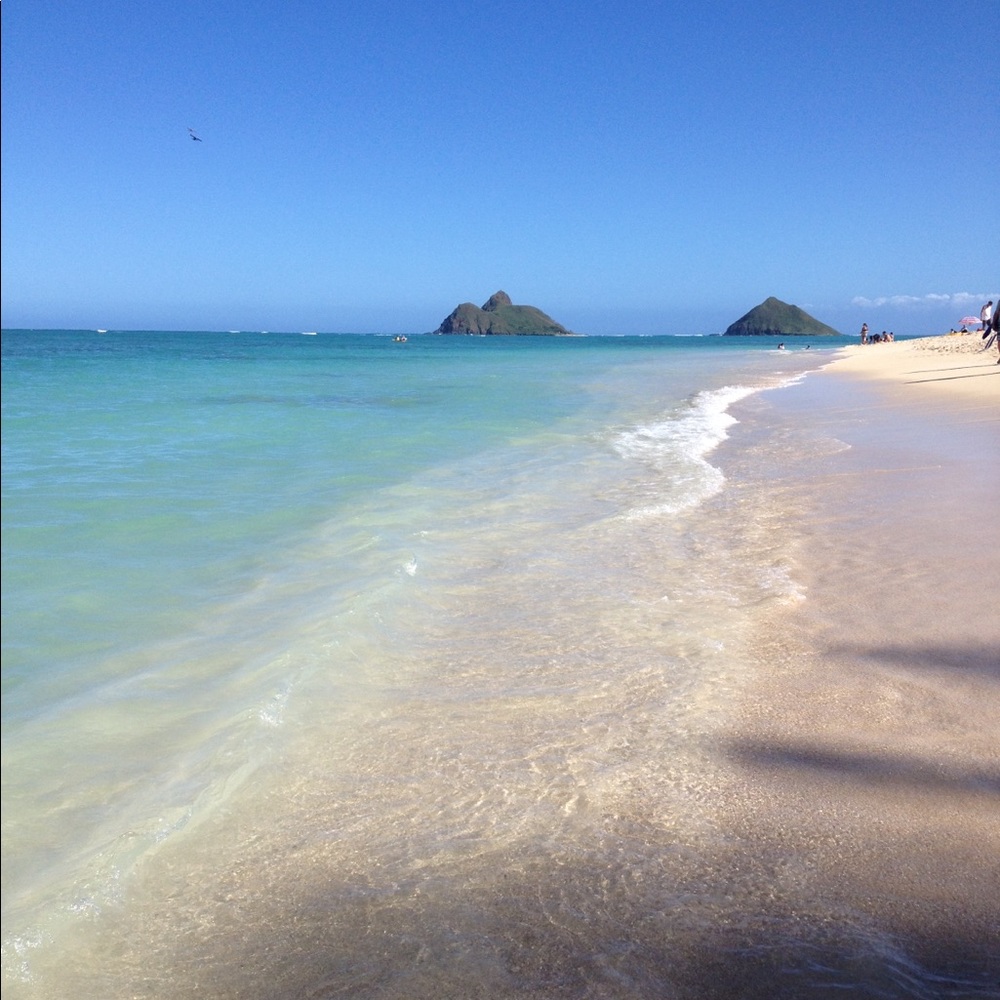 Meet your Posher, Shannon